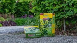 ECOstyle Hagen-AZ Organische Tuinmest - Voor Gezond Bodemleven - Remt Uitval Van Bladeren - 120 Dagen Voeding - Voor 50m Haag - 2,75 KG -Buitentuinwinkel 1200x676 1