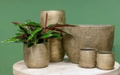 Luxe Plantenpot/bloempot Goud Mira Van Keramiek 35 Cm - Keramische Plantenpotten/plantenbakken -Buitentuinwinkel 1200x746 4