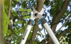 Gardena EasyCut Takkenschaar 68B + Classic Snoeischaar 8754 Display 1stuk 12003-30 17 Gardena EasyCut Takkenschaar 68B + Classic Snoeischaar 8754 Display 1stuk 12003-30 -Buitentuinwinkel 1200x749 7