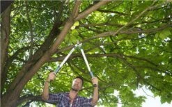 Gardena EasyCut Takkenschaar 68B + Classic Snoeischaar 8754 Display 1stuk 12003-30 20 Gardena EasyCut Takkenschaar 68B + Classic Snoeischaar 8754 Display 1stuk 12003-30 -Buitentuinwinkel 1200x749 9