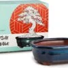Happy Seed Keramieken Bonsai Pot (schaal) - Marine Blauw - Geglazuurd 1 Happy Seed Keramieken Bonsai Pot (schaal) - Marine Blauw - Geglazuurd -Buitentuinwinkel 1200x779 1
