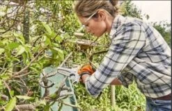 Stihl Accu Mini Kettingzaag SET - Snoeischaar - Snoeizaag - Hand Kettingzaag - Professioneel- Hovenier- Tuinman -Buitentuinwinkel 1200x779 2