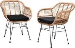 Casaria Polyrotan Kuipstoel Bali - Met Kussens – 2 Stuks