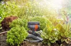 GARDENA - Zwenksproeier AquaZoom Compact - Tuinsproeier - 9 Tot 216 M² -Buitentuinwinkel 1200x785