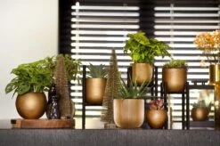 Capi Europe - Bloempot Bol Retro - 23x21 - Goud - Bloempot Voor Binnen - BRTG134 25 Capi Europe - Bloempot Bol Retro - 23x21 - Goud - Bloempot Voor Binnen - BRTG134 -Buitentuinwinkel 1200x795 4