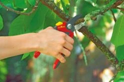 WOLF-Garten Snoeischaar "Premium Plus" RS 4000 - Aambeeld - Max. Knipdiameter 25 Mm - Links- En Rechtshandige - Softinleg Handgreep - Snijhoek 30° - Voor Grote Handen - Vervangbare Messen En Aambeeld -Buitentuinwinkel 1200x798 28