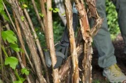 GARDENA - SlimCut Takkenschaar -28mm- Met Hefboommechanisme -Buitentuinwinkel 1200x799 101