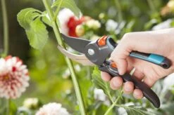 GARDENA Comfort B/M Bypass Snoeischaar - Ø 24mm - Met Sapgeul -Buitentuinwinkel 1200x799 131