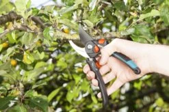 GARDENA - Comfort B/S-XL Bypass - Snoeischaar - Ø 24 Mm - 25 Jaar Garantie -Buitentuinwinkel 1200x799 192