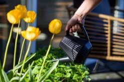 Xala - Gieter Doppio Groove 2L Zwart -Buitentuinwinkel 1200x799 6