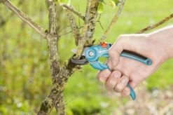 GARDENA Classic Aambeeld Snoeischaar - Ø 18 Mm 9 GARDENA Classic Aambeeld Snoeischaar - Ø 18 Mm -Buitentuinwinkel 1200x799 69