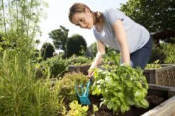 GARDENA Combisystem Tuinhak - Werkbreedte 6,5cm - 25 Jaar Garantie -Buitentuinwinkel 1200x799 92