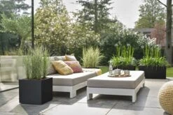 Elho Vivo Next Vierkant 40 - Plantenbak Voor Binnen & Buiten - Ø 39.0 X H 37.9 Cm - Zwart/Living Black -Buitentuinwinkel 1200x800 126