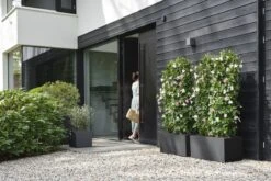 Elho Vivo Next Vierkant 40 - Plantenbak Voor Binnen & Buiten - Ø 39.0 X H 37.9 Cm - Zwart/Living Black -Buitentuinwinkel 1200x800 127