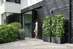 Elho Vivo Next Vierkant 40 - Plantenbak Voor Binnen & Buiten - Ø 39.0 X H 37.9 Cm - Zwart/Living Black -Buitentuinwinkel 1200x800 128