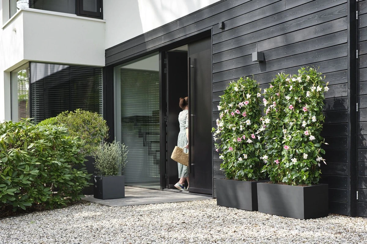 Elho Vivo Next Lang 60 - Bloempot Voor Binnen & Buiten - Ø 59.0 X H 29.2 Cm - Zwart/Living Black 8 Elho Vivo Next Lang 60 - Bloempot Voor Binnen & Buiten - Ø 59.0 X H 29.2 Cm - Zwart/Living Black - Afbeelding 6