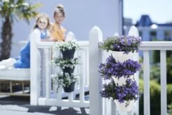 Elho Corsica Vertical Forest 24 - Bloempot Voor Balkonbuiten - Ø 26.7 X H 29.7 Cm - Wit/Wit -Buitentuinwinkel 1200x800 143