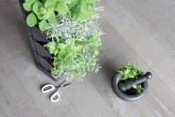 Prosperplast Verticale Kruidentuin Kunststof - Staand/hangend - Modulair - Antraciet Grijs - L 20 X B 11 X H 48 Cm - Incl. Kruidenschaar -Buitentuinwinkel 1200x800 151