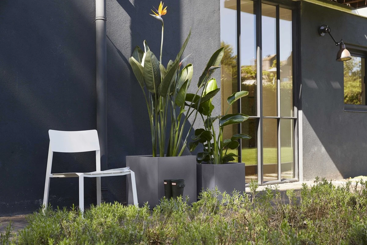 Capi Europe - Bloempot Vierkant Smooth NL - 50x50x50 - Zwart - Voor Binnen En Buiten - KBL904 10 Capi Europe - Bloempot Vierkant Smooth NL - 50x50x50 - Zwart - Voor Binnen En Buiten - KBL904 - Afbeelding 8