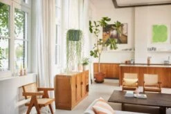 Elho B.for Swing 18 Hangpot - Bloempot Voor Binnen - Ø 18.0 X H 16.5 Cm - Groen/Blad Groen -Buitentuinwinkel 1200x800 161