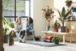 Elho B.for Soft Rond 35 - Bloempot Voor Binnen - Ø 34.5 X H 32.3 Cm - Antraciet -Buitentuinwinkel 1200x800 163