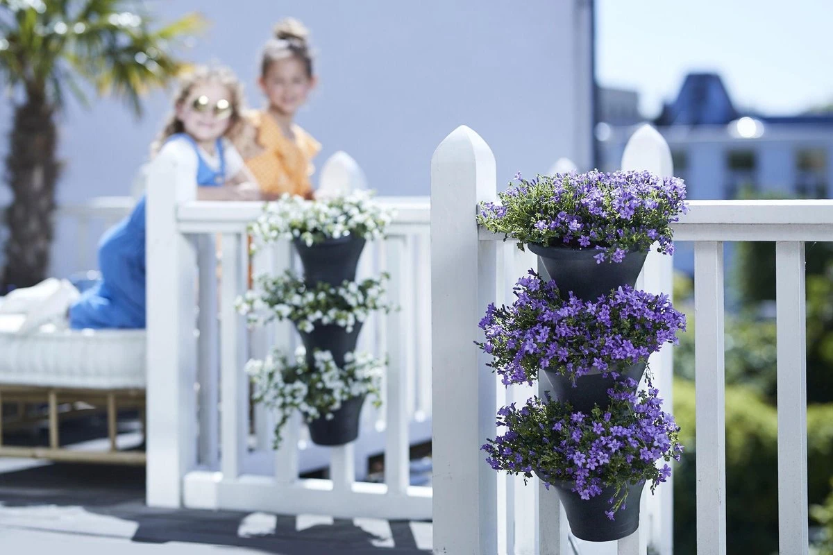 Elho Corsica Vertical Forest 24 - Bloempot Voor Balkonbuiten - Ø 26.7 X H 29.7 Cm - Zwart/Antraciet 8 Elho Corsica Vertical Forest 24 - Bloempot Voor Balkonbuiten - Ø 26.7 X H 29.7 Cm - Zwart/Antraciet - Afbeelding 6