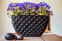 Capi Europe - Bloempot Ovaal Heraldry - 60x35 - Zwart - Bloempot Voor Binnen - BSBI841 -Buitentuinwinkel 1200x800 167