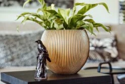 Capi Europe - Vaas Bol Groove XL - 39x33 - Goud - Bloempot Voor Binnen - Opening ⌀24 - GVGB270 8 Capi Europe - Vaas Bol Groove XL - 39x33 - Goud - Bloempot Voor Binnen - Opening ⌀24 - GVGB270 -Buitentuinwinkel 1200x800 169