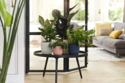 Elho Vibes Fold Rond 22 - Bloempot Voor Binnen - Ø 22.0 X H 20.2 Cm - Diepblauw -Buitentuinwinkel 1200x800 178