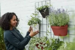 Elho Loft Urban Green Wall Rek 48 - Accessoires Voor Buiten - Ø 47.3 X H 59.0 Cm - Zwart/Living Black 19 Elho Loft Urban Green Wall Rek 48 - Accessoires Voor Buiten - Ø 47.3 X H 59.0 Cm - Zwart/Living Black -Buitentuinwinkel 1200x800 180