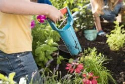 GARDENA Bollenplanter - Diepteaanduiding - Automatische Aardeloslating -Buitentuinwinkel 1200x800 191