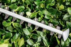 Bosch UniversalHedgeCut 60 Heggenschaar - Op Snoer - Lengte 60 Cm 14 Bosch UniversalHedgeCut 60 Heggenschaar - Op Snoer - Lengte 60 Cm -Buitentuinwinkel 1200x800 203