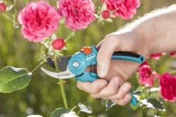 GARDENA - Classic B/S-M Bypass Snoeischaar - Ø 22mm - 25 Jaar Garantie 23 GARDENA - Classic B/S-M Bypass Snoeischaar - Ø 22mm - 25 Jaar Garantie -Buitentuinwinkel 1200x800 244