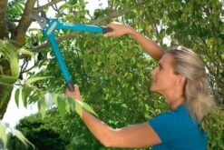 GARDENA Comfort 500 BL Takkenschaar - Max Knipdiameter 35 Mm 17 GARDENA Comfort 500 BL Takkenschaar - Max Knipdiameter 35 Mm -Buitentuinwinkel 1200x800 254