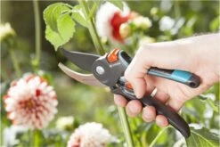 GARDENA Comfort B/M Bypass Snoeischaar - Ø 24mm - Met Sapgeul -Buitentuinwinkel 1200x800 283