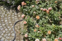 GARDENA Kraanverbindingsstuk Binnenshuis -Buitentuinwinkel 1200x800 37