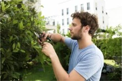 GARDENA - Comfort B/S-XL Bypass - Snoeischaar - Ø 24 Mm - 25 Jaar Garantie -Buitentuinwinkel 1200x800 386