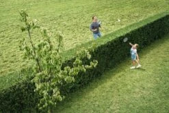 Bosch AHS 50-20 Accu Heggenschaar - Met 1 X 18 V Accu En Lader -Buitentuinwinkel 1200x800 387