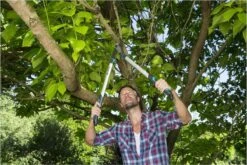 GARDENA EnergyCut Takkenschaar 75B - 42mm 13 GARDENA EnergyCut Takkenschaar 75B - 42mm -Buitentuinwinkel 1200x800 393