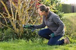 Bosch KEO 18 Accu Tuinzaagmachine - Snijdiameter Van 80 Mm - Met 18 V Accu En Lader -Buitentuinwinkel 1200x800 405