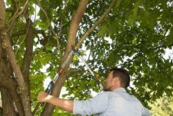 Gardena TeleCut Takkenschaar 650-900 B - Uitschuifbare Armen - Tot Max 90 Cm -Buitentuinwinkel 1200x800 423