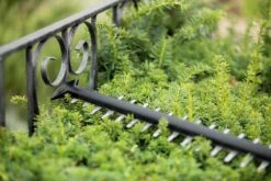 Bosch UniversalHedgeCut 18-55 Heggenschaar - Zonder 18V Accu En Oplader -Buitentuinwinkel 1200x800 428