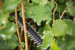 Bosch UniversalHedgeCut 18-55 Heggenschaar - Zonder 18V Accu En Oplader -Buitentuinwinkel 1200x800 431