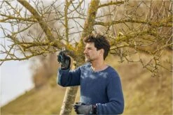 GARDENA - ExpertCut - Snoeischaar - 22 Diameter Tak -Buitentuinwinkel 1200x800 436