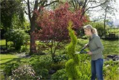 GARDENA PrecisionCut Buxusschaar - Meslengte 18 Cm - Vormsnoeien -Buitentuinwinkel 1200x800 438