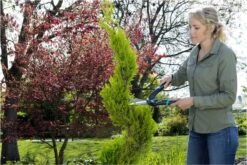 GARDENA PrecisionCut Buxusschaar - Meslengte 18 Cm - Vormsnoeien -Buitentuinwinkel 1200x800 439