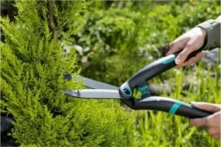 GARDENA PrecisionCut Buxusschaar - Meslengte 18 Cm - Vormsnoeien -Buitentuinwinkel 1200x800 440