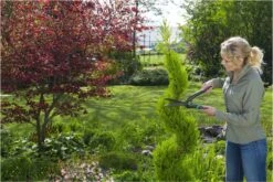 GARDENA PrecisionCut Buxusschaar - Meslengte 18 Cm - Vormsnoeien -Buitentuinwinkel 1200x800 442