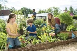 GARDENA Combisystem Bladharkje - Werkbreedte 12 Cm - 25 Jaar Garantie -Buitentuinwinkel 1200x800 494