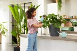 Elho Brussels Gieter 1,8l - Gieter Voor Binnenkweken En Oogsten - Ø 33.0 X H 17.0 Cm - Groen/Mint -Buitentuinwinkel 1200x800 55